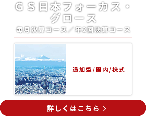 GS日本フォーカス・グロース